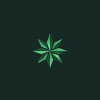 Belmont Wealthstone Logo