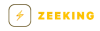 Zeeking Logo