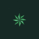 Belmont Wealthstone logo