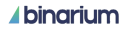 Binarium13 Top logo