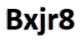Logo Bxjr8