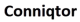 Logo Conniqtor